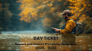 Day Ticket