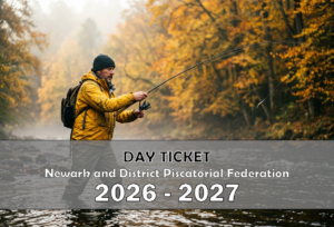 Day Ticket